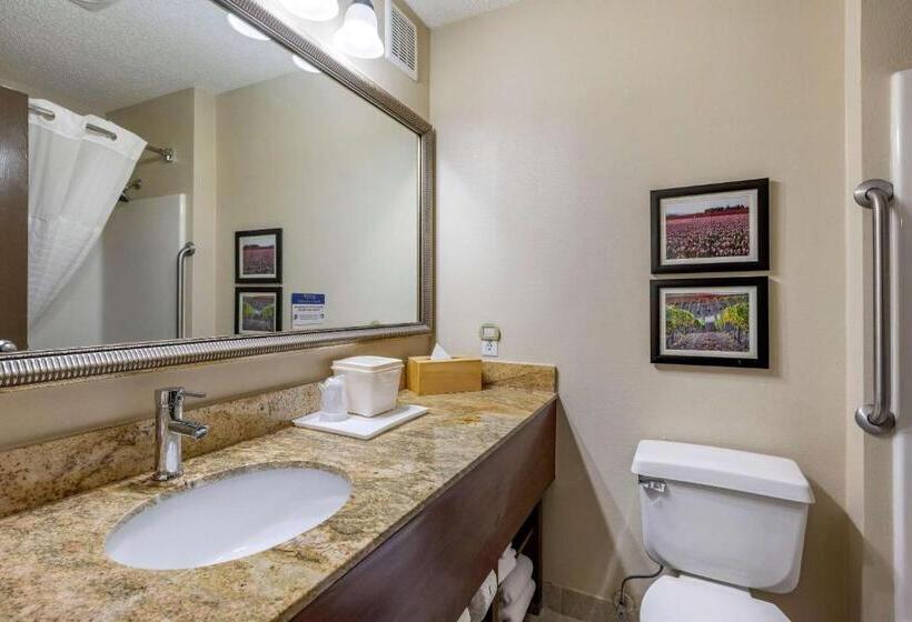 Номер Стандарт Адаптированный для Инвалидов, Comfort Inn & Suites Kelso  Longview