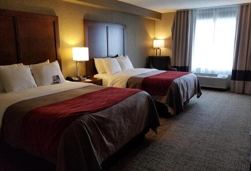 Standard Szoba, Comfort Inn & Suites Knoxville West