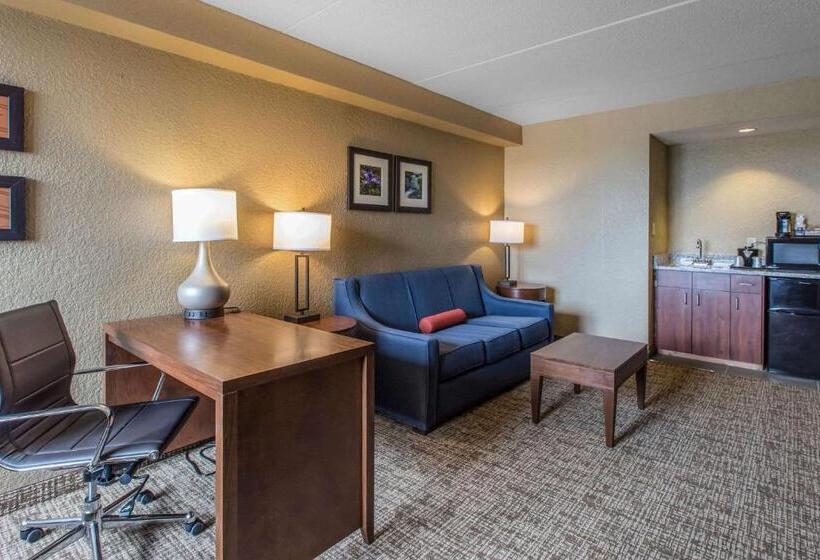 Suite King Size Bed, Comfort Inn & Suites Knoxville West