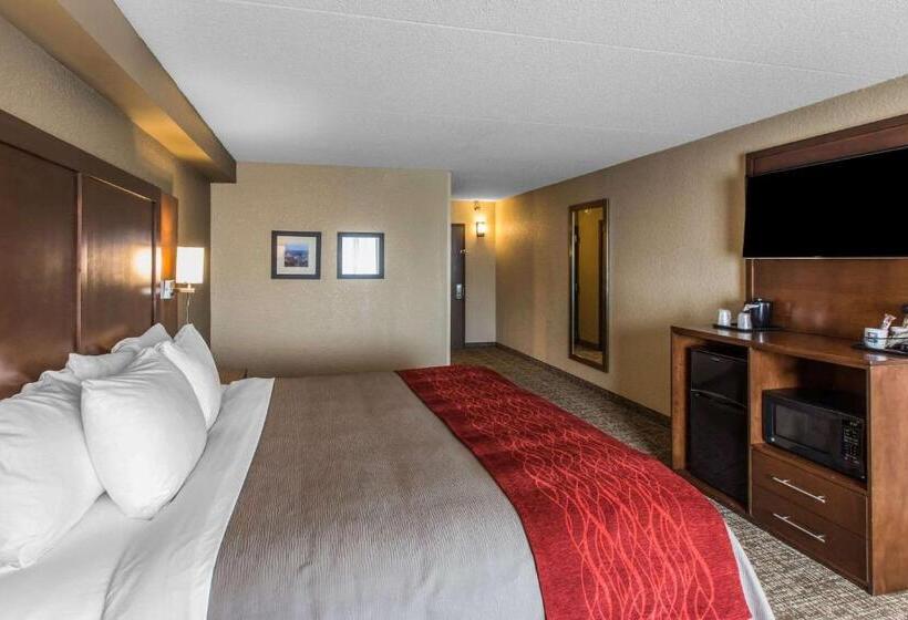 Standard Szoba King Size Bed, Comfort Inn & Suites Knoxville West