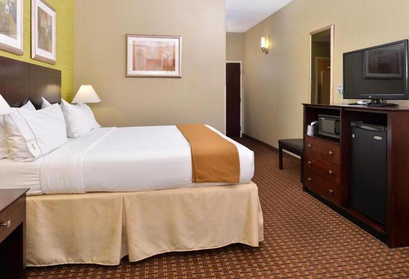 Habitació Estàndard Llit King, Holiday Inn Express Hotel & Suites Indianapolis W   Airport Area, An Ihg