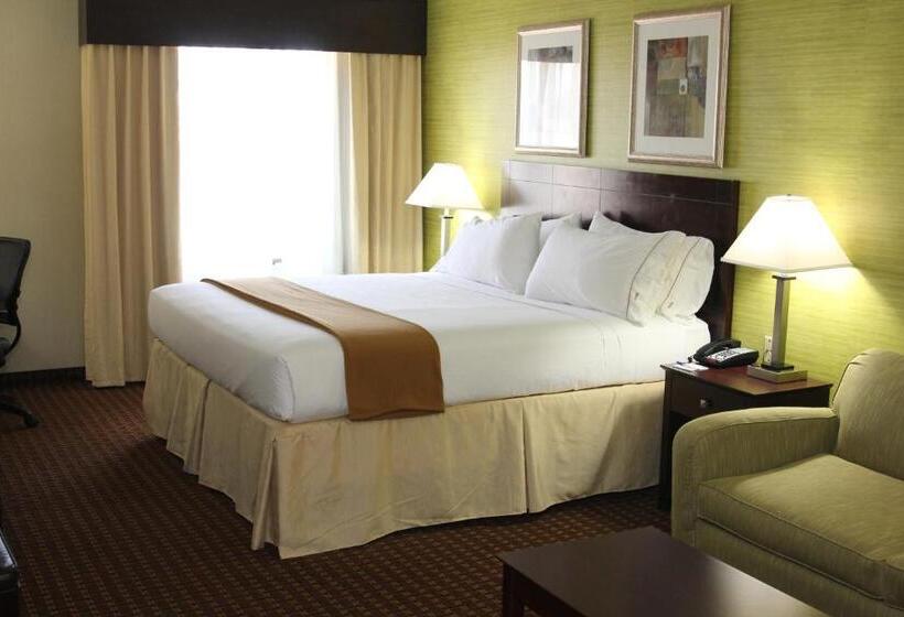 Quarto Standard Cama King, Holiday Inn Express Hotel & Suites Indianapolis W   Airport Area, An Ihg