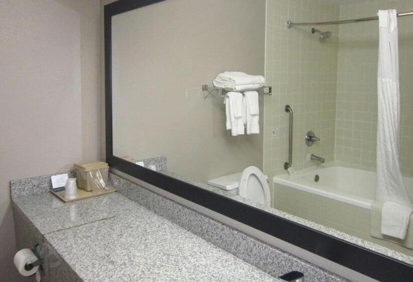 Quarto Estandar Cama King, Quality Inn Nashville  Bloomington
