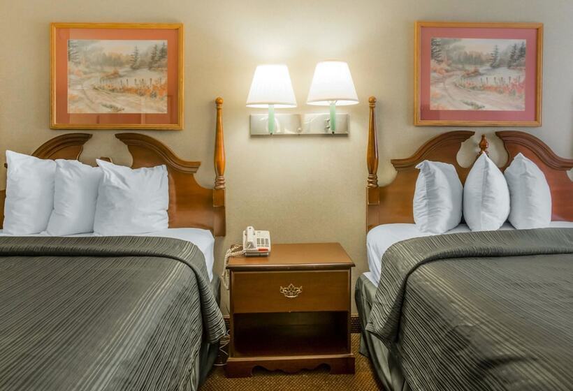 Номер Стандарт 2 Двуспальные Кровати, Quality Inn Reidsville Hwy 29