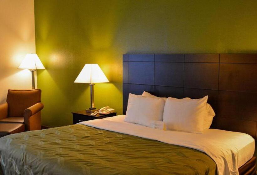 Стандартный Номер Кровать Кинг, Quality Inn Union Us Hwy 176