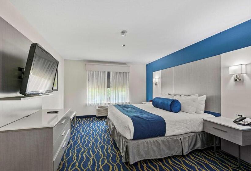 Стандартный Номер Кровать Кинг, Best Western Plus Lake Lanier Gainesville Hotel & Suites
