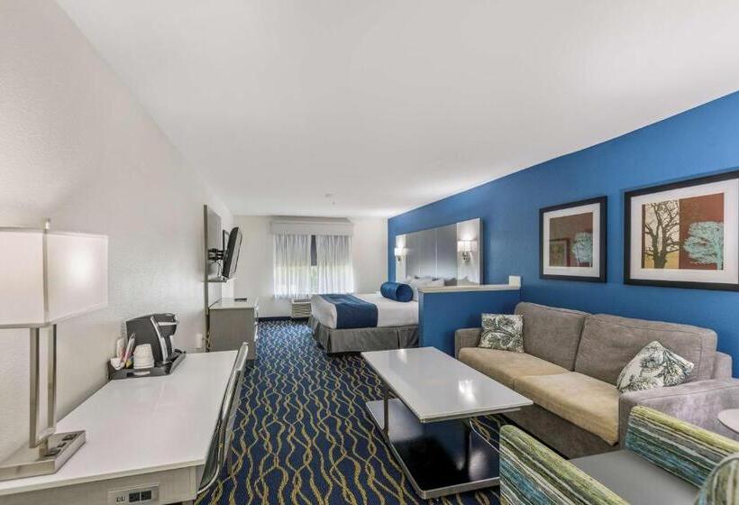 Стандартный Номер Кровать Кинг, Best Western Plus Lake Lanier Gainesville Hotel & Suites