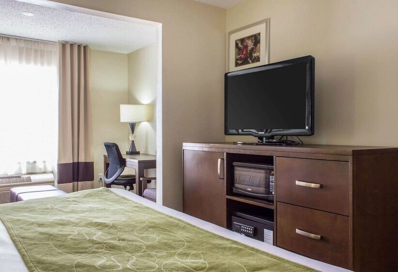 스위트, Comfort Suites At Tucson Mall
