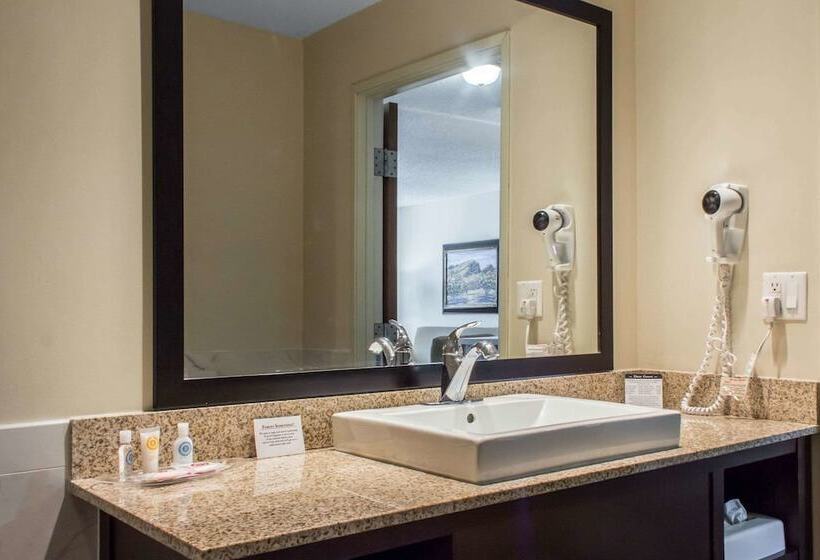 장애인을 위한 스위트, Comfort Suites At Tucson Mall