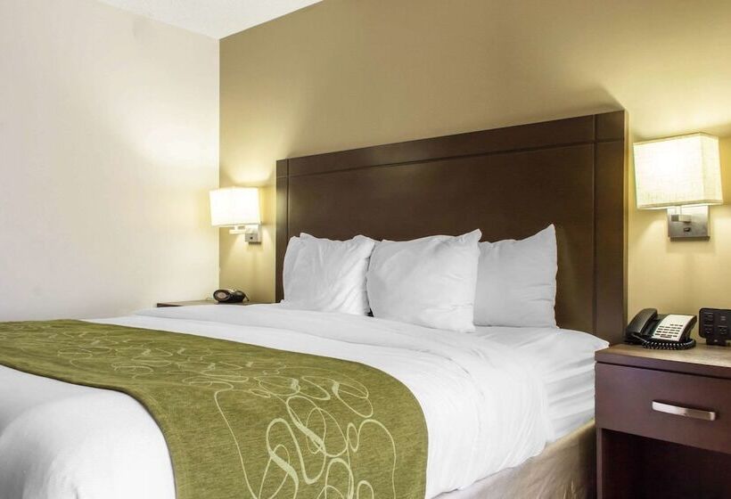 장애인을 위한 스위트, Comfort Suites At Tucson Mall