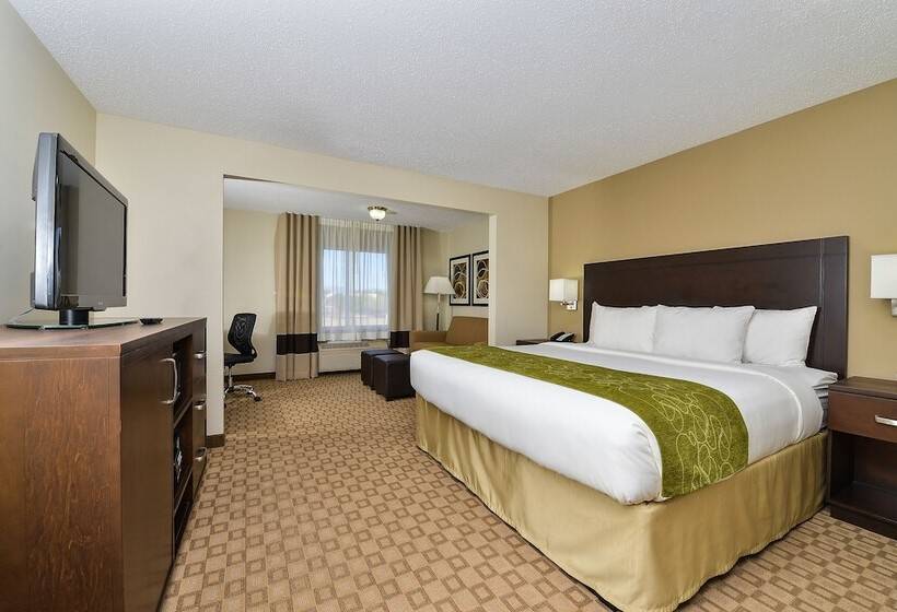 סוויטה, Comfort Suites At Tucson Mall