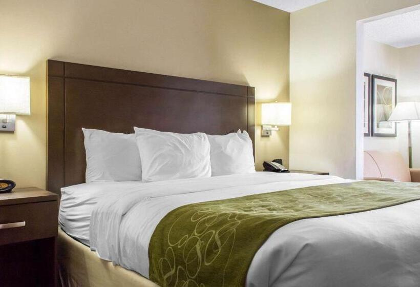 מיטת קינג בסוויטה, Comfort Suites At Tucson Mall