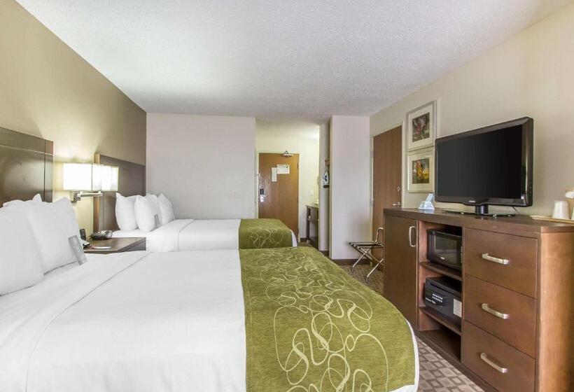 스위트, Comfort Suites At Tucson Mall