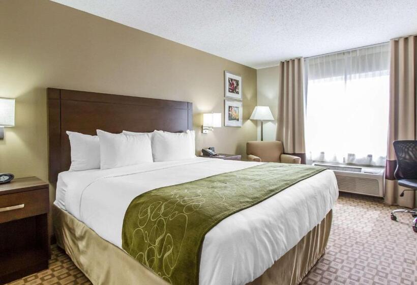 מיטת קינג בסוויטה, Comfort Suites At Tucson Mall