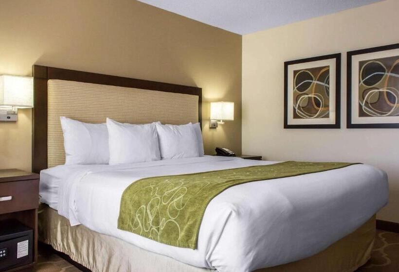 장애인을 위한 스위트, Comfort Suites At Tucson Mall