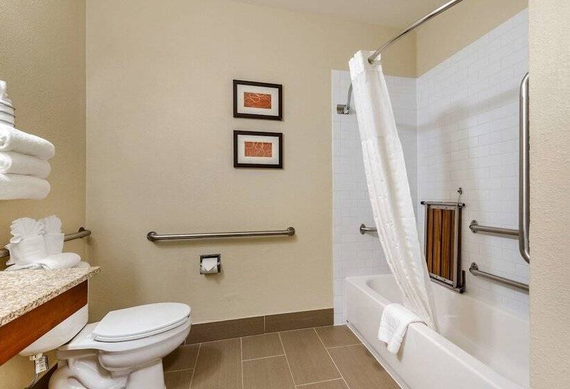 Люкс Адаптированный для Инвалидов, Comfort Suites Fort Collins Near University
