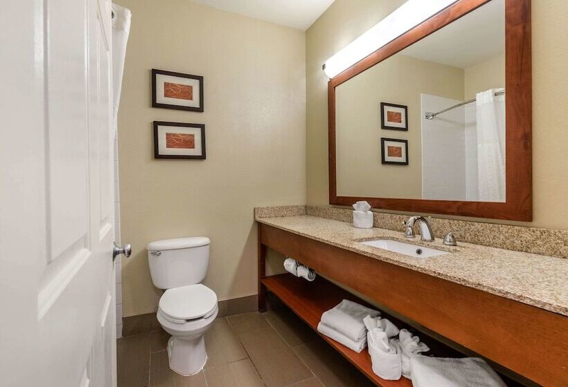 Люкс Адаптированный для Инвалидов, Comfort Suites Fort Collins Near University