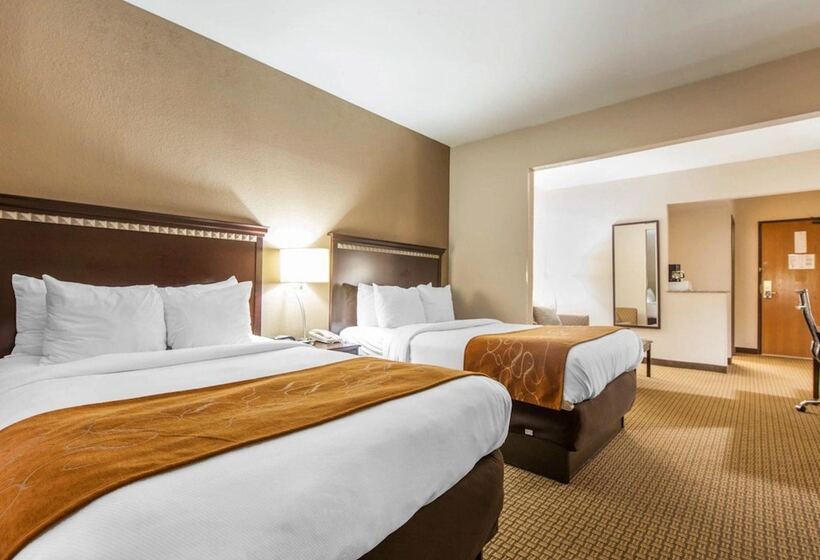 Люкс, Comfort Suites