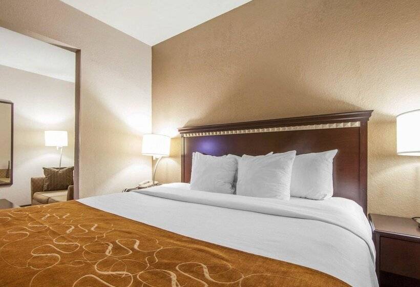 Люкс Адаптированный для Инвалидов, Comfort Suites