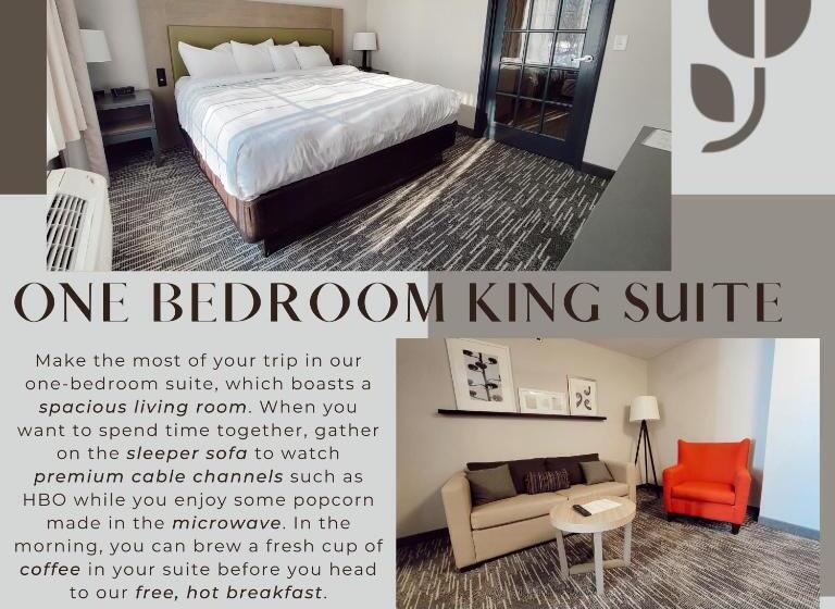 Люкс Кровать Кинг, Country Inn & Suites By Radisson, Detroit Lakes, Mn