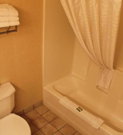 Президентский Люкс, Country Inn & Suites By Radisson, Minneapolis Shakopee