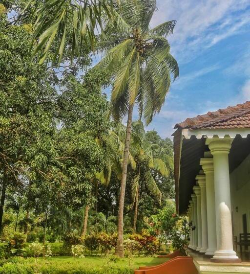 Люкс Премиум, The Postcard Cuelim, Goa