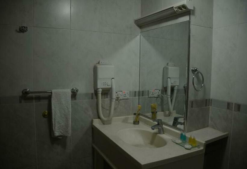 اتاق استاندارد یک نفره, Karlovyvary Hotel Ankawa