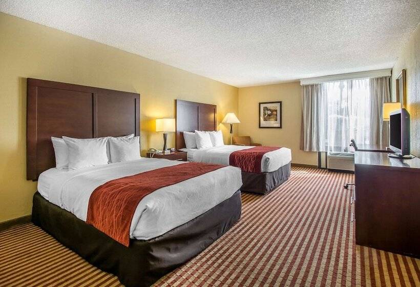 Quarto Estandar para Deficientes Físicos, Comfort Inn & Suites Kissimmee By The Parks