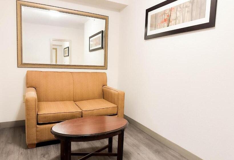 キングサイズベッドのデラックスルーム, Comfort Inn & Suites Kissimmee By The Parks