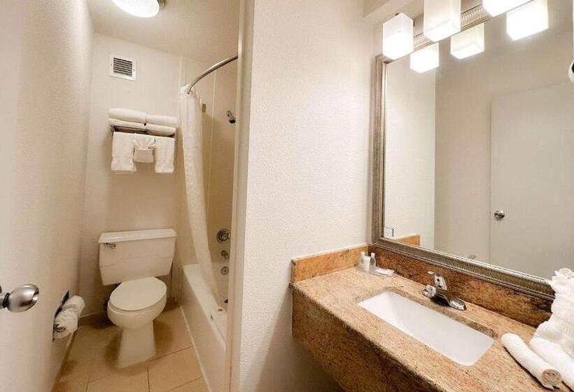 キングサイズベッドのデラックスルーム, Comfort Inn & Suites Kissimmee By The Parks