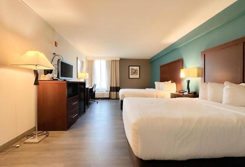 スタンダードルーム, Comfort Inn & Suites Kissimmee By The Parks
