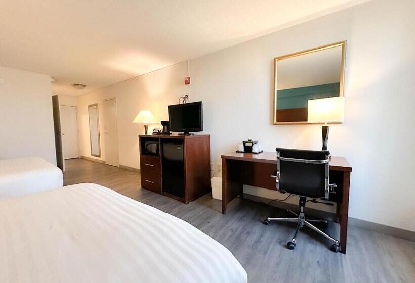 Quarto Estandar, Comfort Inn & Suites Kissimmee By The Parks