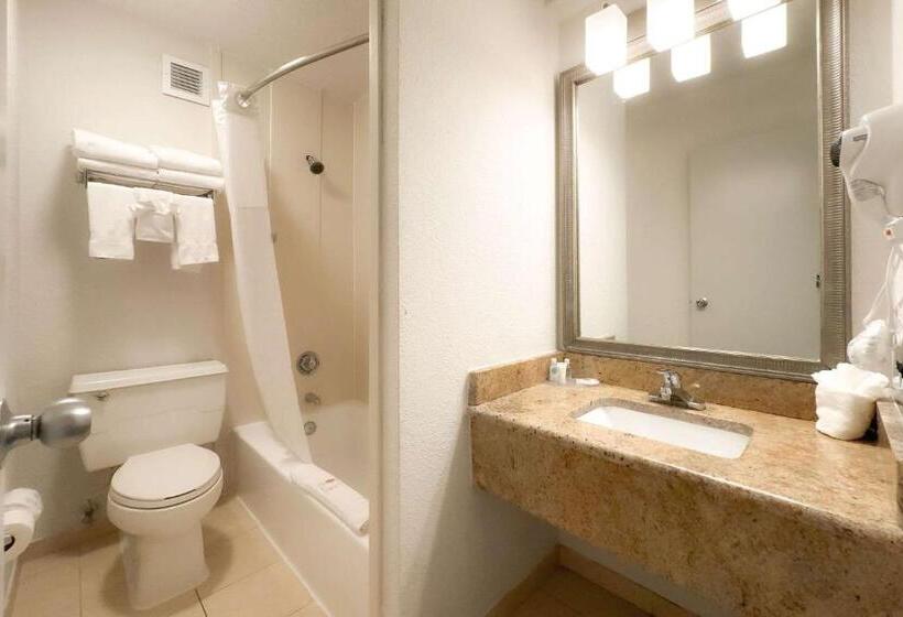 デラックスルーム, Comfort Inn & Suites Kissimmee By The Parks