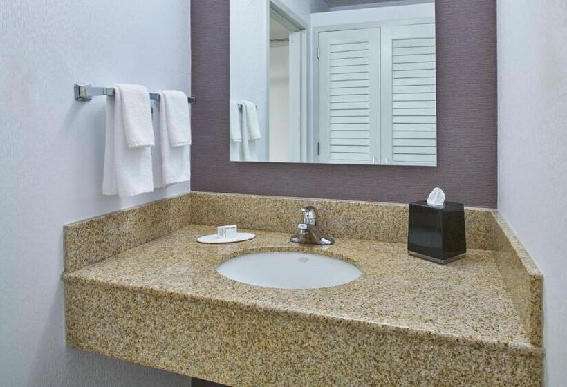 Стандартный Номер Кровать Кинг, Courtyard By Marriott Detroit Troy