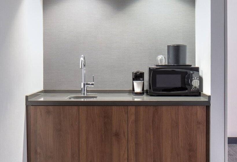 Suite, Courtyard By Marriott Chicago Downtown/river North