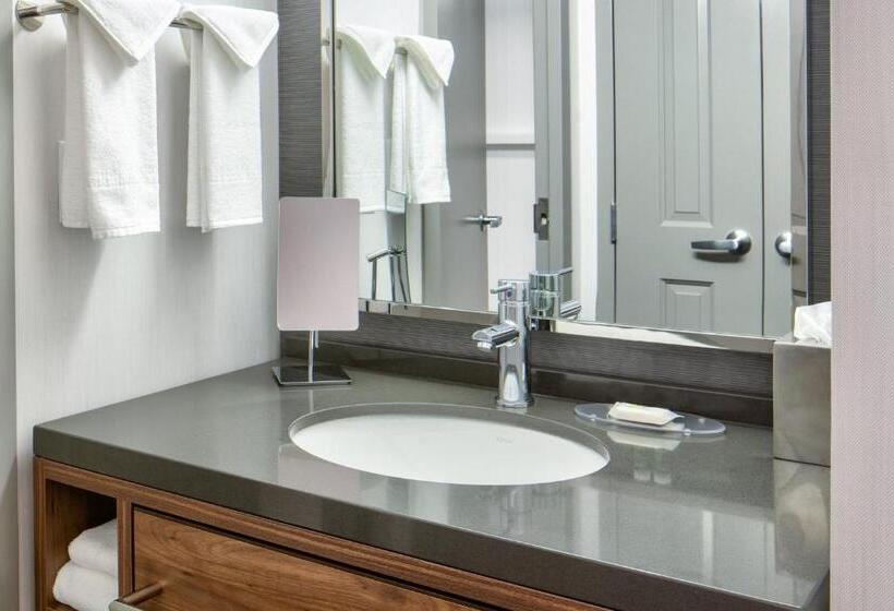 Quarto Standard Cama King para Deficientes, Courtyard By Marriott Chicago Downtown/river North