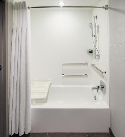 Quarto Standard para Deficientes, Courtyard By Marriott Chicago Downtown/river North