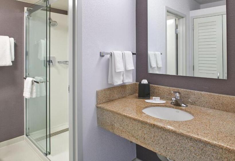 Стандартный Номер Кровать Кинг, Courtyard By Marriott Detroit Troy