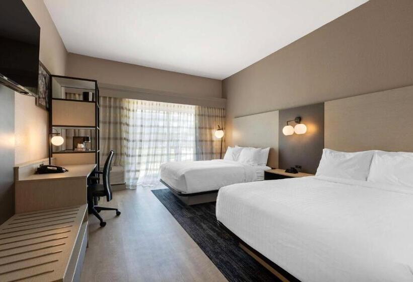 身障者適用スタンダードルーム, Best Western Plus Fort Worth North