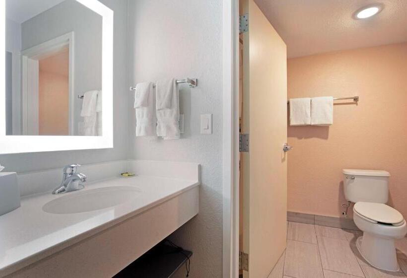 キングサイズベッドのスタンダードルーム, Best Western Plus Fort Worth North
