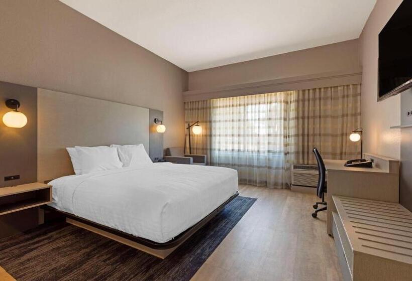 身障者適用キングサイズベッドルーム, Best Western Plus Fort Worth North
