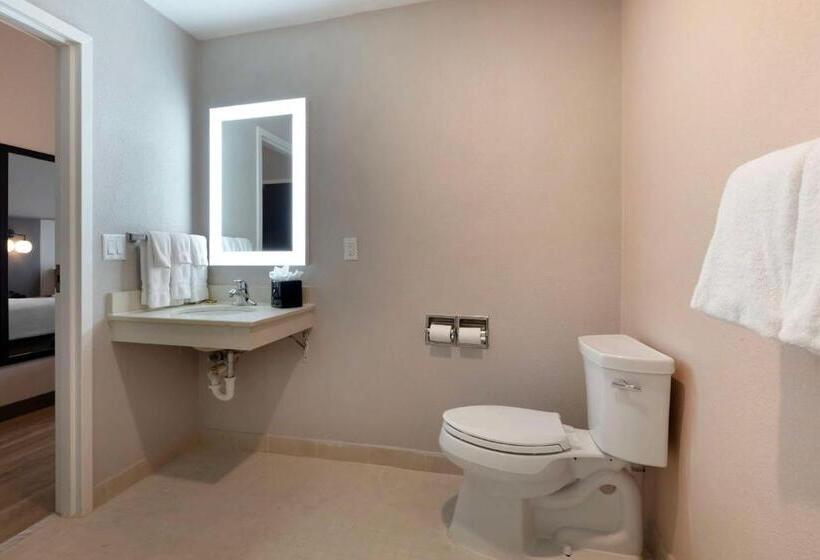 スタンダードルーム, Best Western Plus Fort Worth North