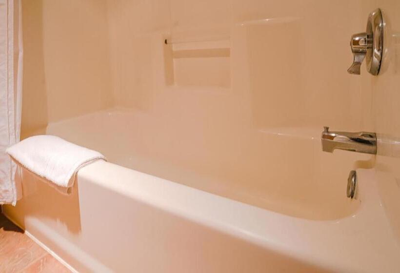 Номер Премиум, Asteria Inn And Suites