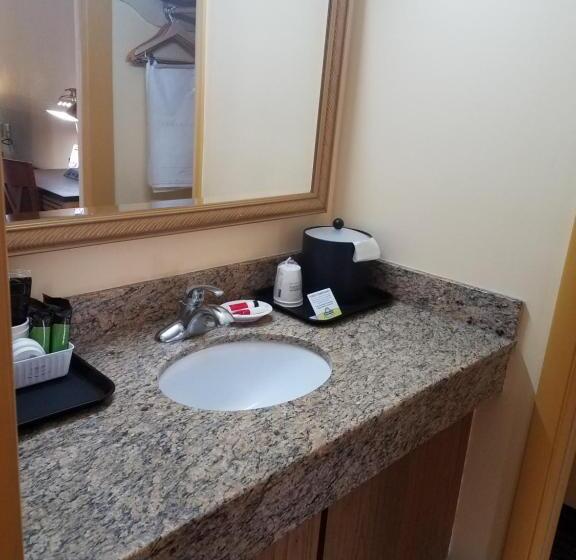 Quarto Estandar Cama King, Days Inn By Wyndham Oak Ridge Knoxville