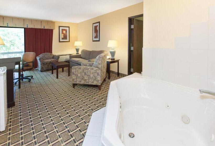 Люкс Кровать Кинг, Days Inn & Suites By Wyndham Madison Heights Mi