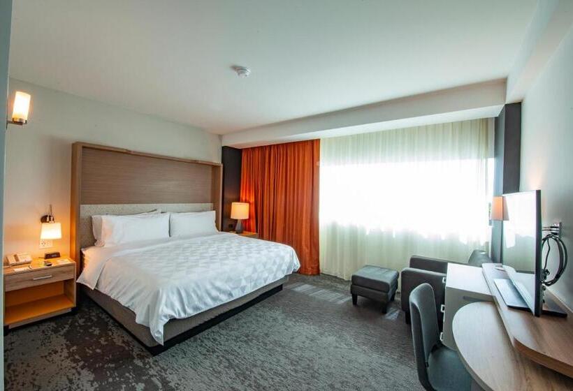 适合残疾人士使用的带超级大床的标准间, Holiday Inn & Suites   Merida La Isla, An Ihg