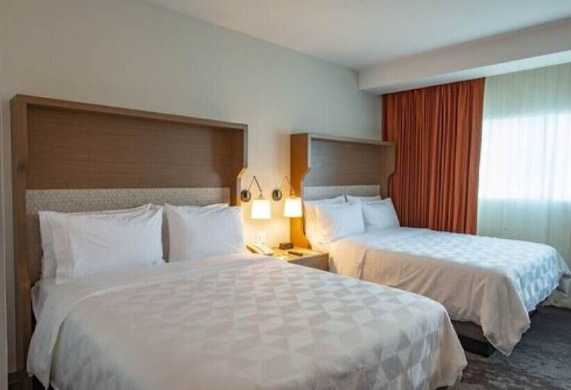 带2个双人床的标准工作室, Holiday Inn & Suites   Merida La Isla, An Ihg