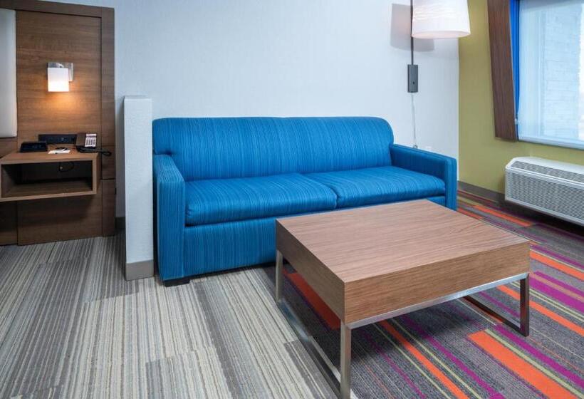 스위트 킹사이즈 침대, Holiday Inn Express & Suites   Florence   Cincinnati Airport, An Ihg