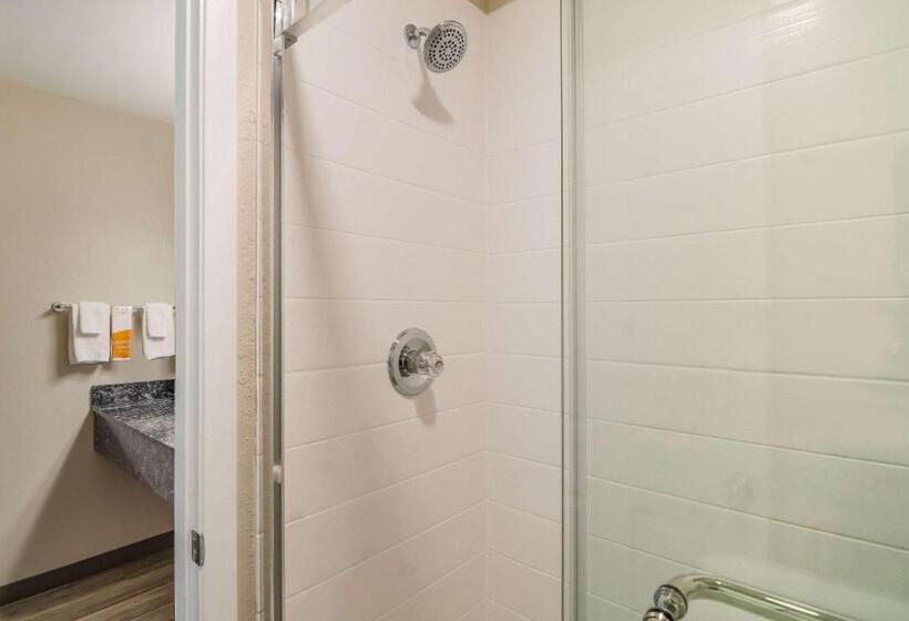 Люкс Кровать Кинг, Quality Inn & Suites Dallas Cityplace