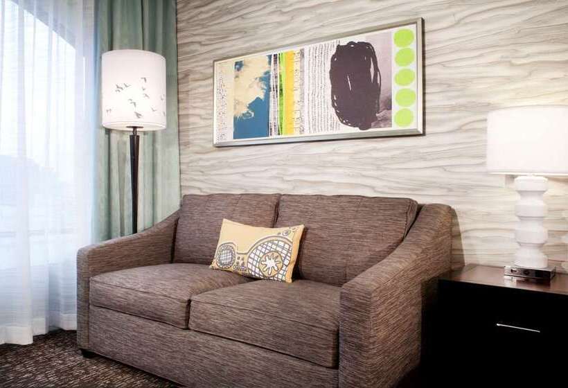 Номер Стандарт Кровать Кинг Адаптированный для Инвалидов, Canopy By Hilton West Palm Beach Downtown